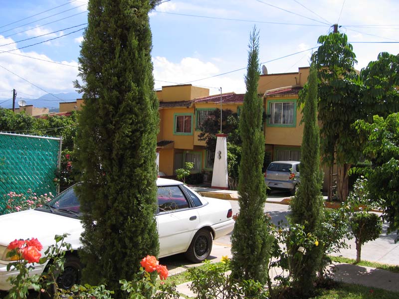 IMG_0174